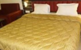 Hotel Avn Plaza